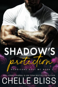 Shadow's Protection by Chelle Bliss